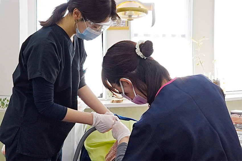 予防を大切にする診療スタイル|さくら歯科クリニック｜岡山・倉敷にある歯医者さん｜虫歯治療・予防歯科・ホワイトニング｜土曜診療・駐車場完備